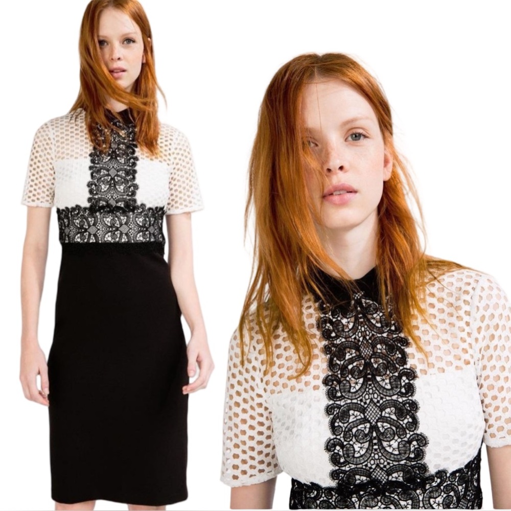 [s] ZARA Dress black white lace panel midi peter pan collar classic chic